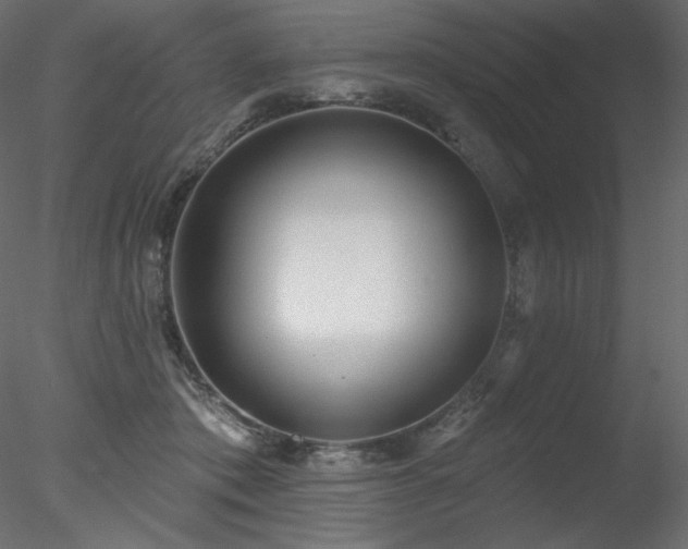 X0000078310413200611031244