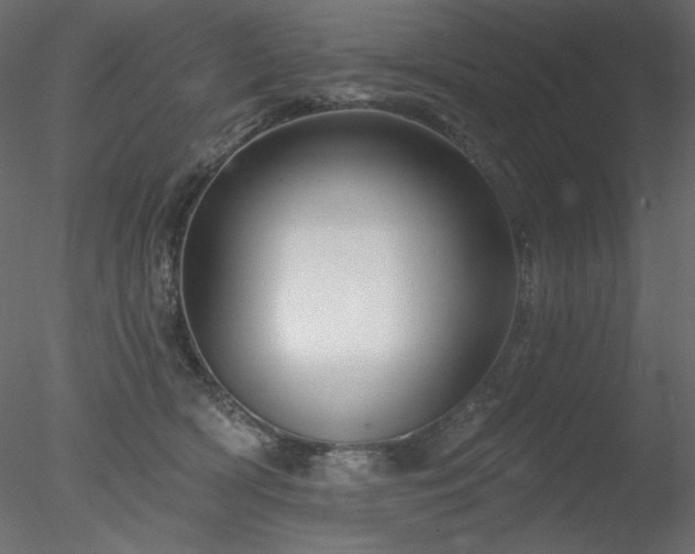 X0000078310418200611031244