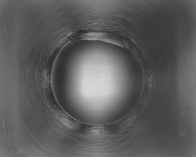 X0000078310420200611031244