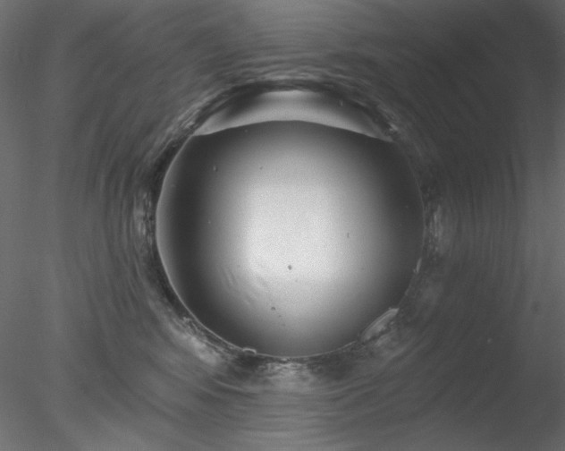 X0000078310424200611031244