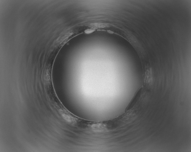 X0000078310426200611031244