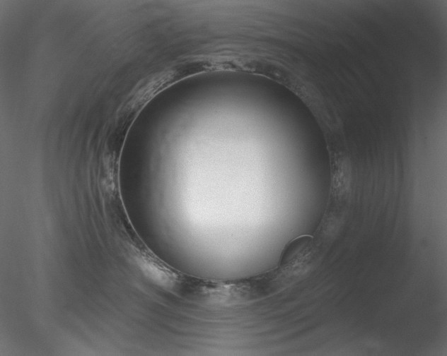X0000078310430200611031243