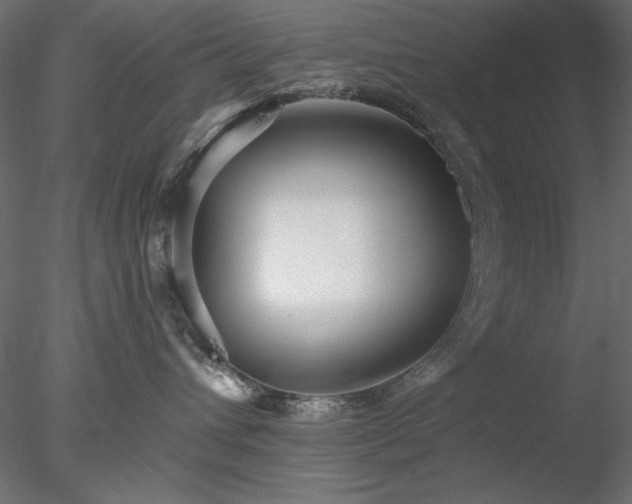 X0000078310432200611031243