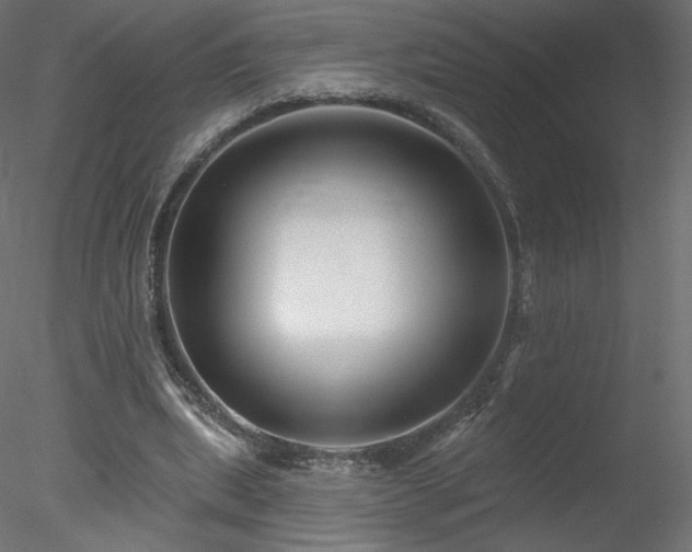 X0000078310439200611031243
