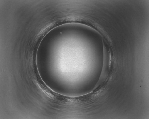 X0000078310442200611031243