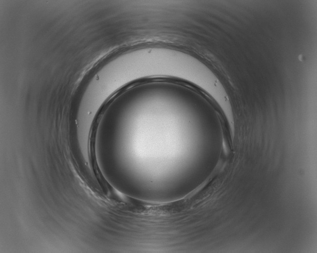 X0000078310444200611031243