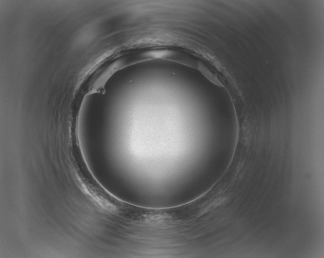 X0000078310446200611031243