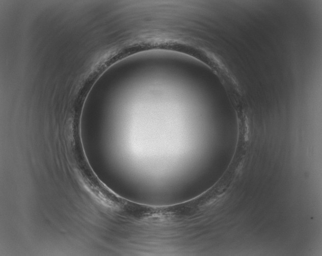 X0000078310447200611031243