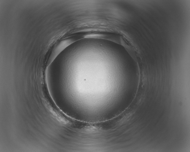 X0000078310453200611031243