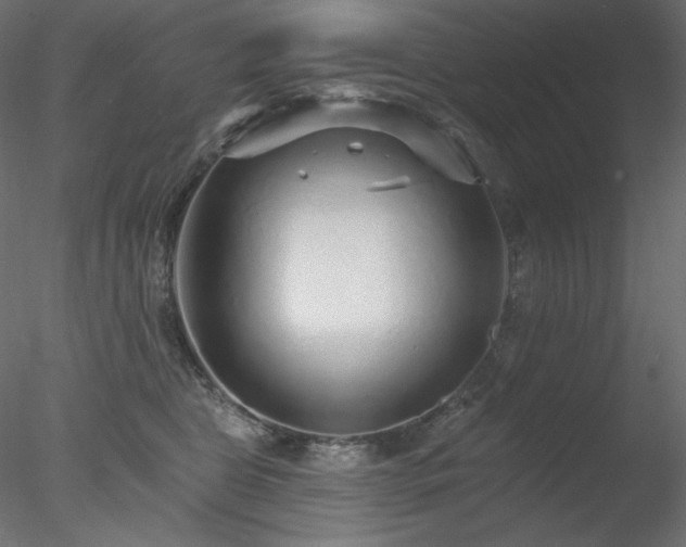 X0000078310469200611031243