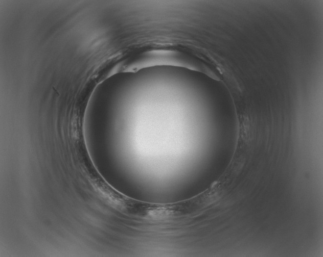 X0000078310470200611031243