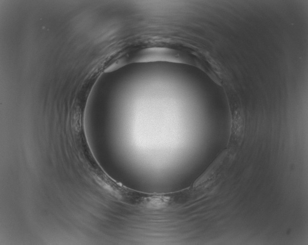X0000078310474200611031243