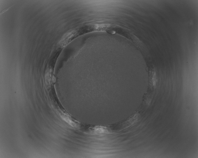 X0000078310475200611031243