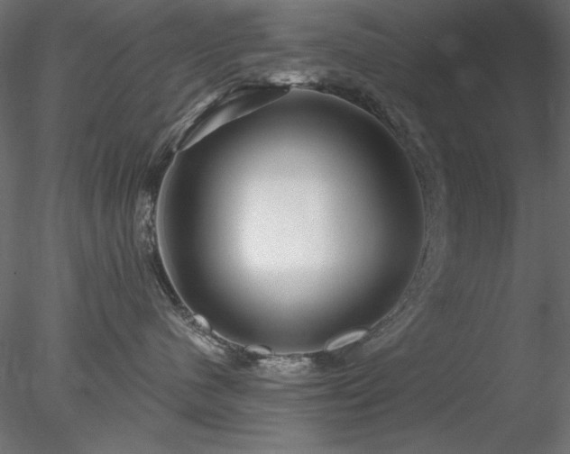 X0000078310480200611031243