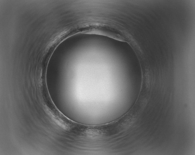 X0000078310490200611031242