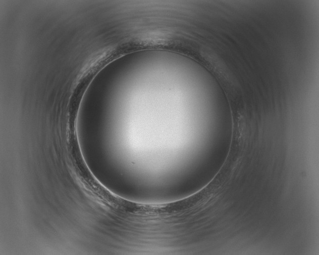 X0000078310494200611031242
