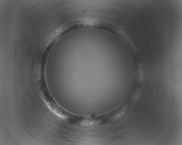 X0000078310496200611031242