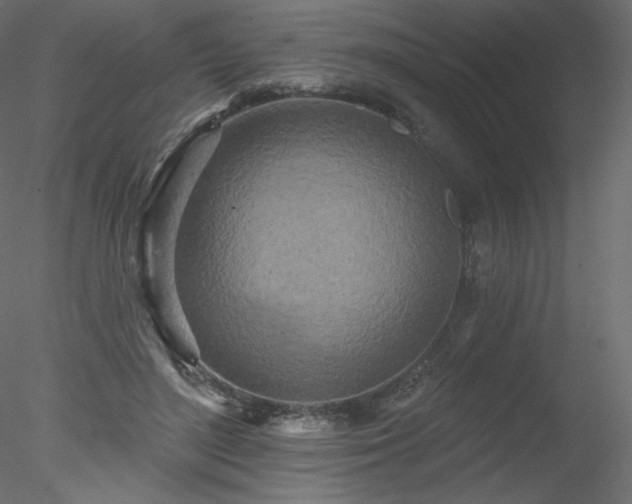 X0000078310500200611031242