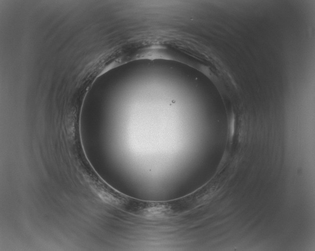 X0000078310505200611031242