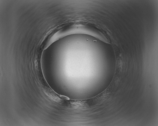 X0000078310516200611031242