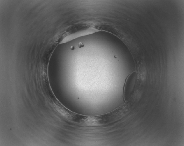 X0000078310518200611031242