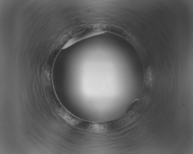 X0000078310522200611031242