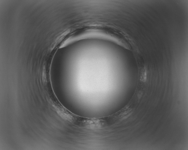 X0000078310524200611031242