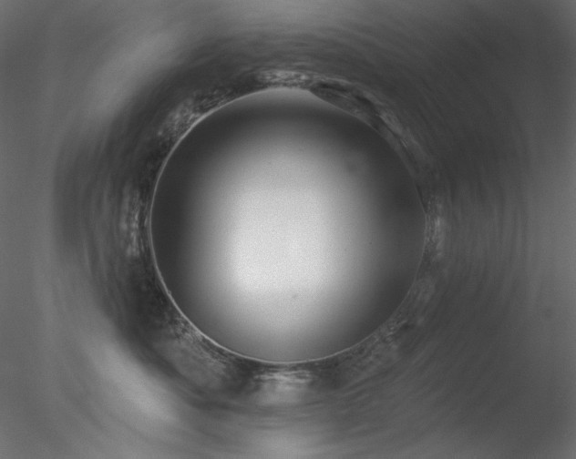 X0000078310525200611031242