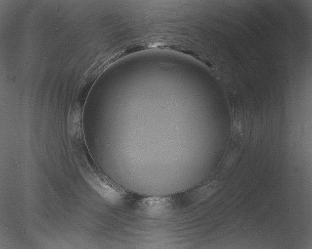 X0000078310526200611031242