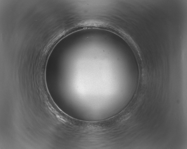 X0000078310529200611031241