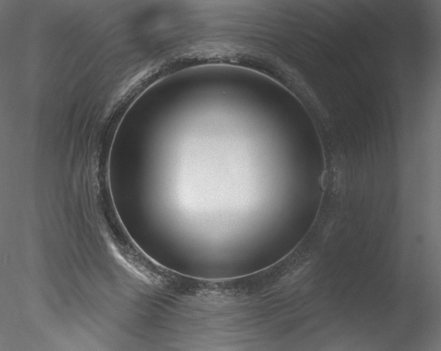 X0000078310538200611031241
