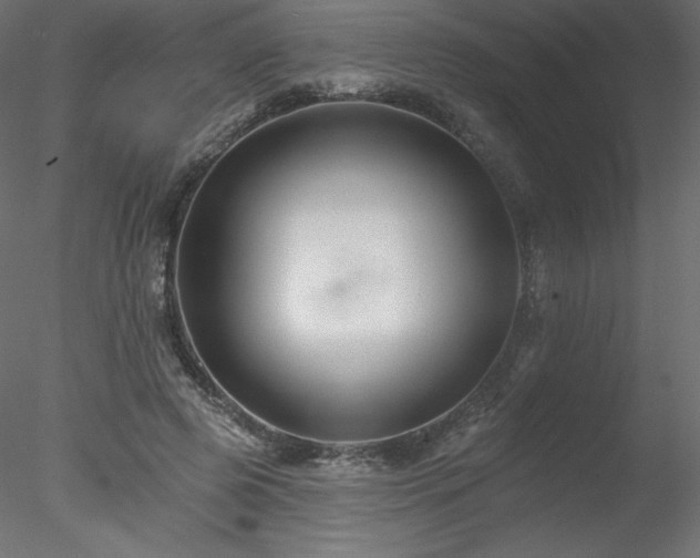 X0000078310545200611031241
