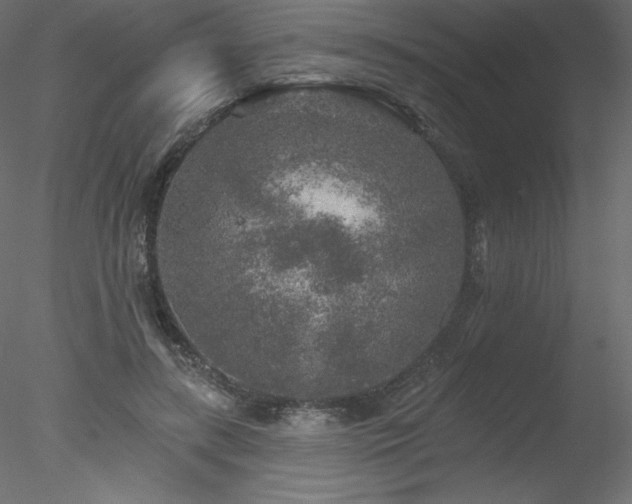 X0000078310547200611031241