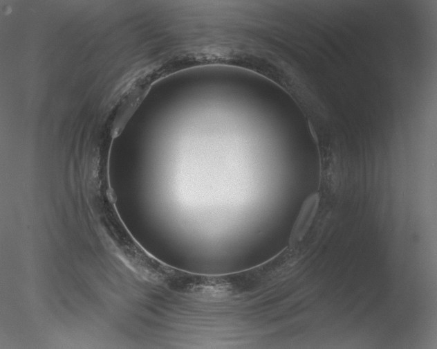 X0000078310548200611031241