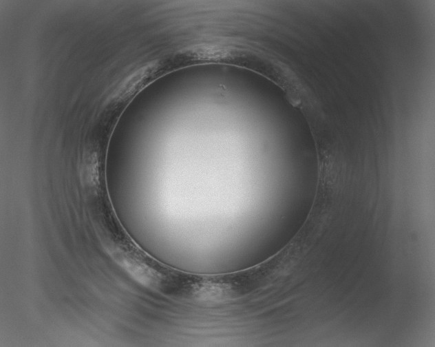X0000078310549200611031241