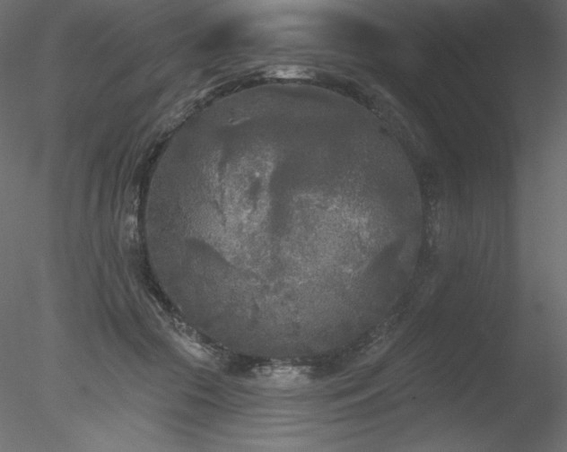 X0000078310553200611031241