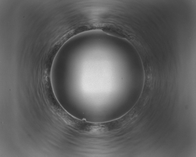 X0000078310555200611031241