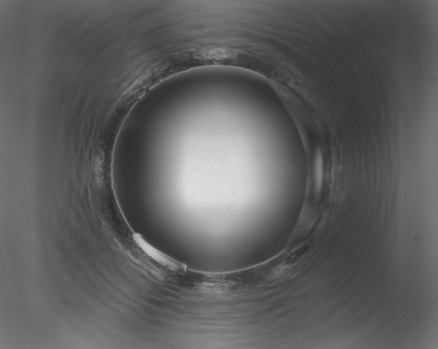 X0000078310556200611031241