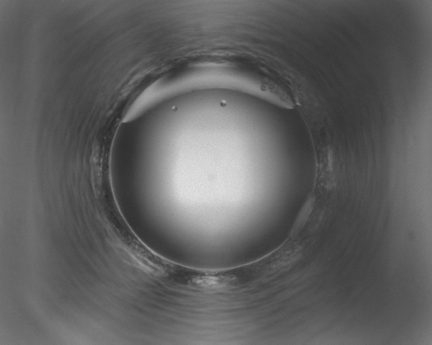 X0000078310558200611031241
