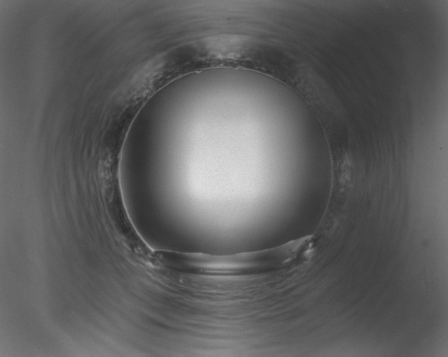 X0000078310559200611031241