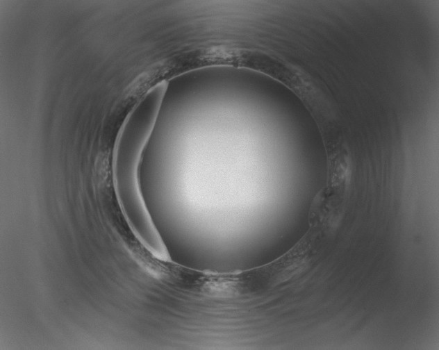 X0000078310560200611031242