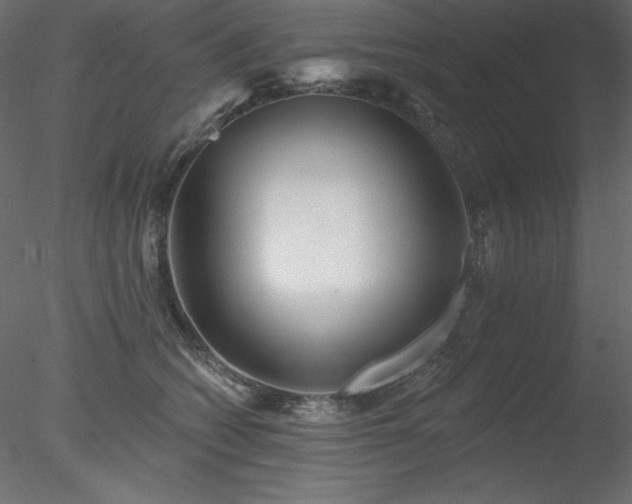 X0000078310562200611031242