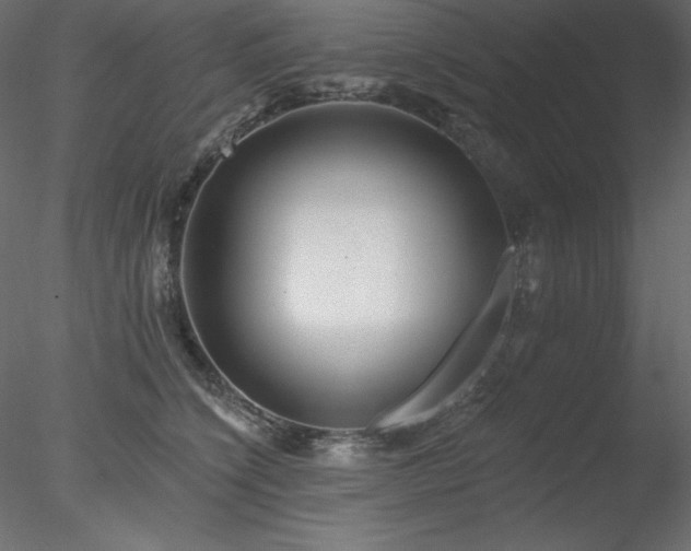 X0000078310564200611031242