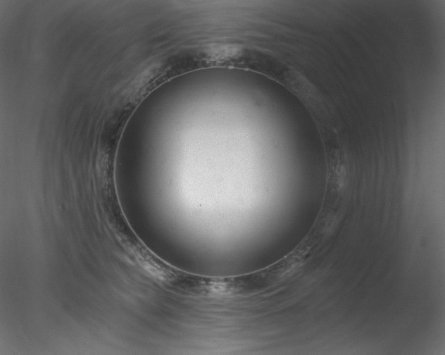 X0000078310565200611031242