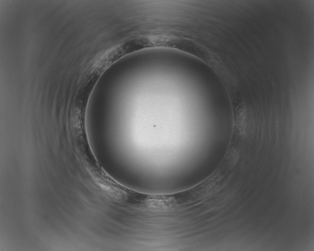 X0000078310571200611031242