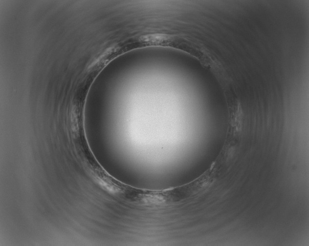 X0000078310572200611031242