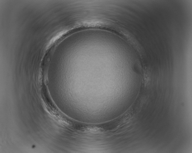 X0000078310583200611031241
