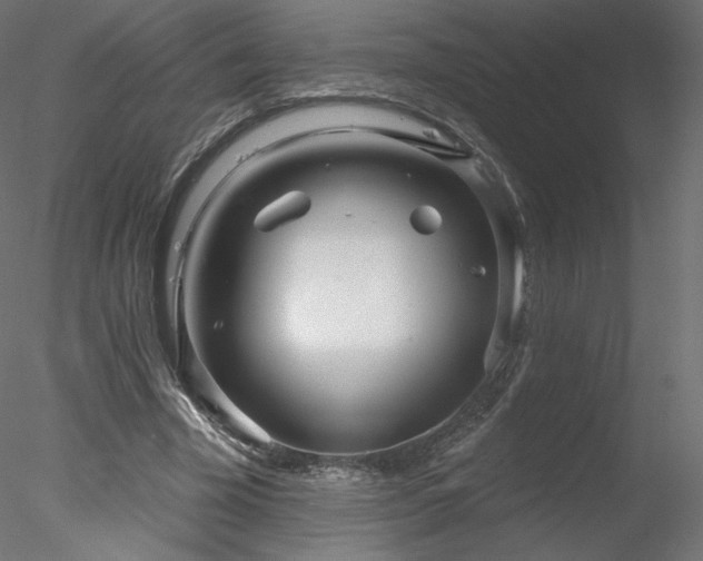X0000078310585200611031241