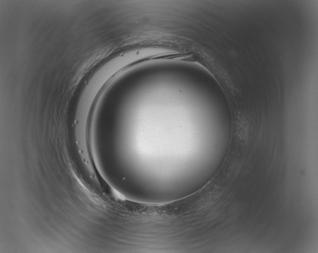 X0000078310586200611031241