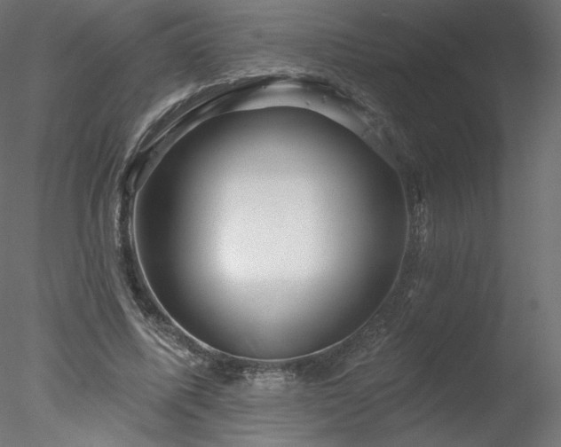 X0000078310587200611031241